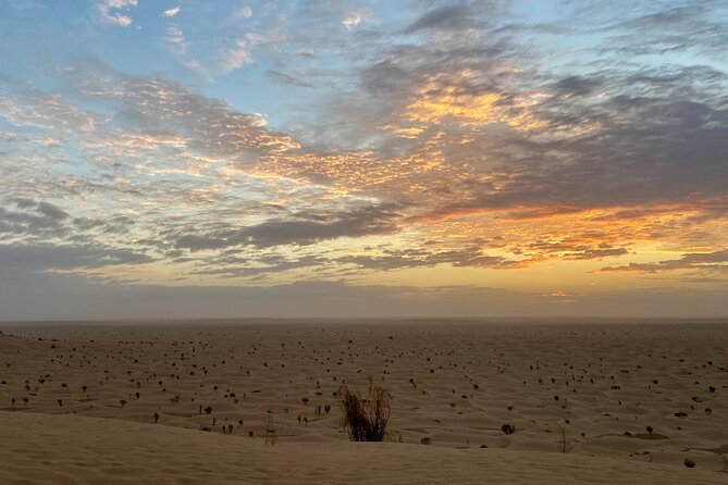 Desert tours and adventurous camel trekking through the Sahara - Day 7 Douz Souks, Matmata Troglodyte Houses, and the Ferry Back to Djerba