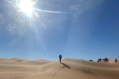 Desert tours and adventurous camel trekking through the Sahara