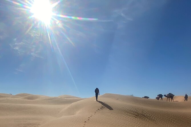 Desert tours and adventurous camel trekking through the Sahara - Days 2 to 6: The Camel Trekking Days Between El Hedan and Bir Abdhull