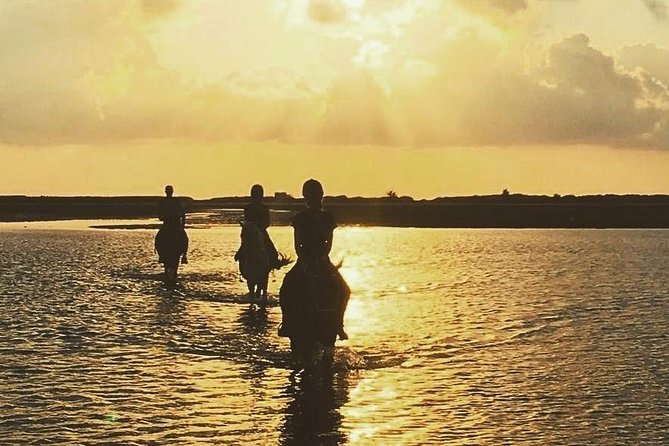Discovery ride on horseback or camel 2h30 - Key things I’d mark on your plan