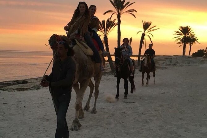 Discovery ride on horseback or camel 2h30 - The Lagoon Crossing and Water Break: Your Best Photo and Your Most Memorable Moment