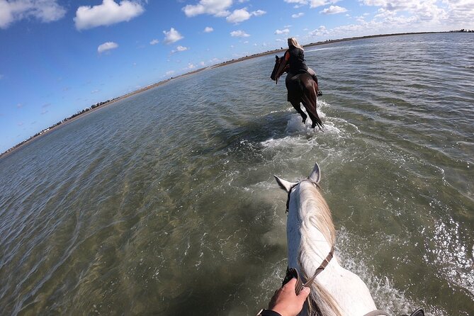 Discovery ride on horseback or camel 2h30 - Guides, Horses, and Camel Care: What to Expect and What Reviews Confirm