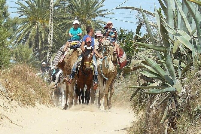 Discovery ride on horseback or camel 2h30 - Logistics You Should Think About Before You Go