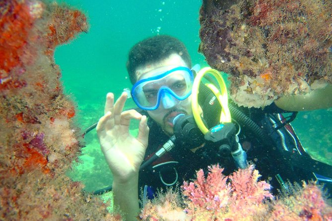 Diving initiation (Initiation) - A 2-Hour Beach Start in Djerba, 2m to 6m