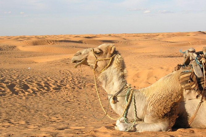 Door of the tunisian desert Ksar Ghilane and Matmata: Full one Day - Key things to know before you go