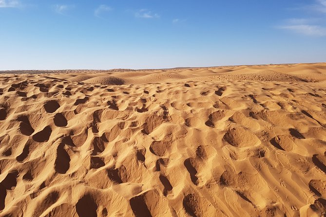 Door of the tunisian desert Ksar Ghilane and Matmata: Full one Day - Ksar Ghilane oasis: where the day earns its keep