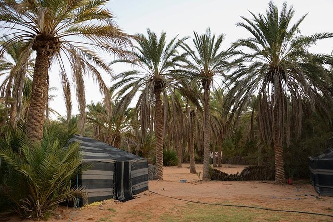Door of the tunisian desert Ksar Ghilane and Matmata: Full one Day - Guides, language, and the kind of humor you might get