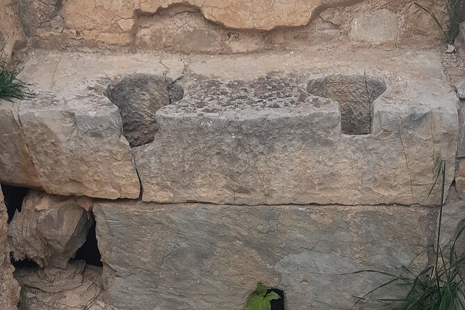 Dougga and Bulla Regia Guided Tour From Tunis - Stop 1: Bulla Regia’s underground homes and the Venus mosaic