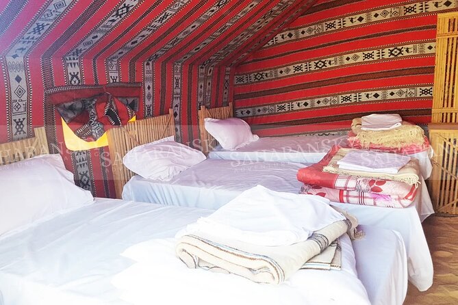 Douz Overnight Camp Stay in Sahara Desert with Dinner By Camel - Who Should Book This Douz Overnight Camp Stay