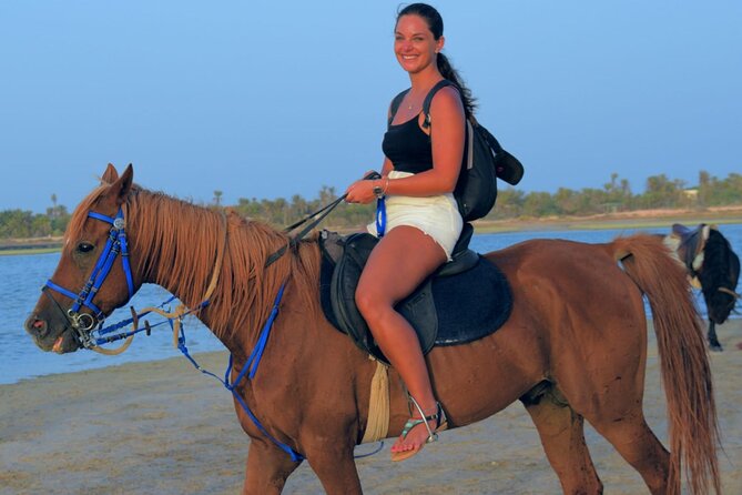 Explore Djerba by camel and horse - Key highlights you’ll feel right away