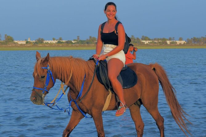 Explore Djerba by camel and horse - Riding Berber tracks to the Lagoon of Djerba