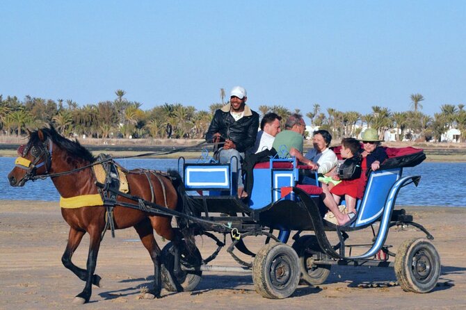 Explore Djerba by camel and horse - Hitting the Berber tracks: your ride far from the crowds