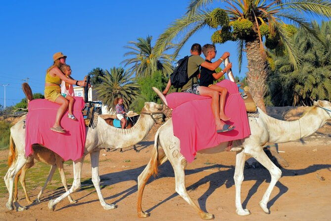 Explore Djerba by camel and horse - The lagoon stop: the best photos and when sunset matters