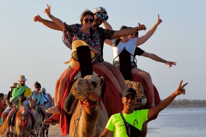 Explore Djerba by camel and horse - Returning to the ranch: a choice that can change your whole day