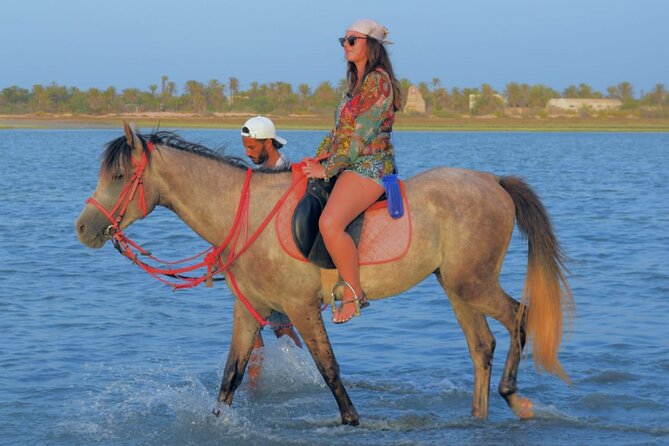 Explore Djerba by camel and horse - How much effort should you plan for?