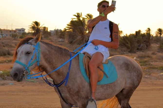 Explore Djerba by camel and horse - From pickup to the ranch: what your first hour feels like