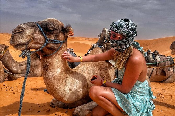 From Djerba: Explore the desert in a day - Key Things I’d Prioritize Before You Go