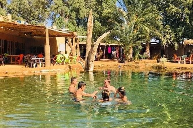 From Djerba: Explore the desert in a day - Why Ksar Ghilane Works So Well for a One-Day Sahara Trip