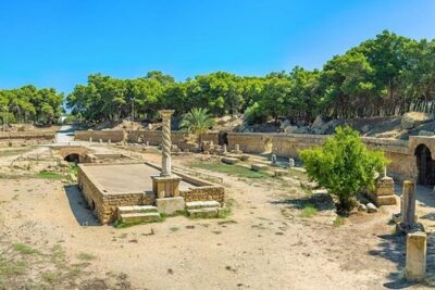 From Hammamet or Tunis: Carthage, Bardo, Sidi Bou said and Medina