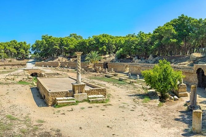 From Hammamet or Tunis: Carthage, Bardo, Sidi Bou said and Medina - Bardo Museum in About One Hour: Roman Mosaics and Key Artifacts