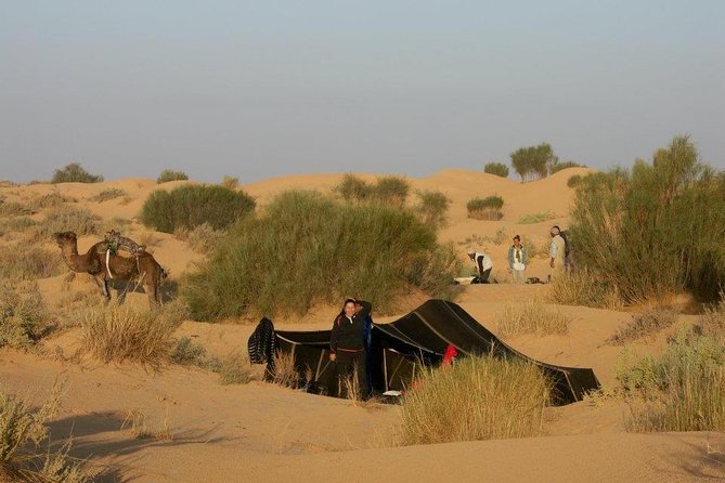 From Tozeur: 3-Day Desert Trip - Why Tozeur Works for the Sahara and Grand Erg Oriental