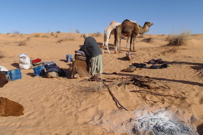 From Tozeur: 3-Day Desert Trip - Camel Treks in the Erg Oriental: Sunset and Sunrise Are the Real Stars
