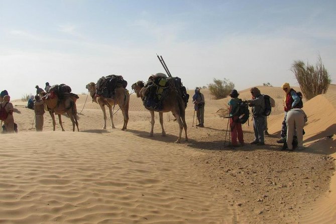 From Tozeur: 3-Day Desert Trip - Price and Value: Is $368.81 Fair for What You Get?