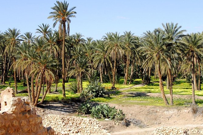From Tunis: Star Wars 5 day tour - Troglodyte home to El Jem amphitheater, ending with mosaics