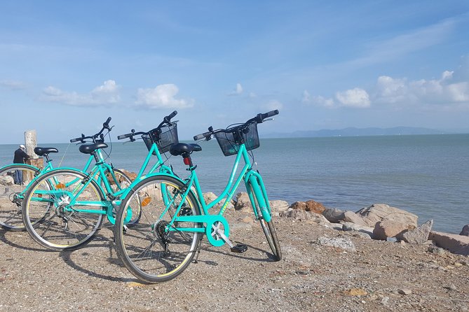 Guided Bike Tour of Carthage Archeological Site in Tunisia - Stop 2: Punic Ports and Museum, where trade shaped everything