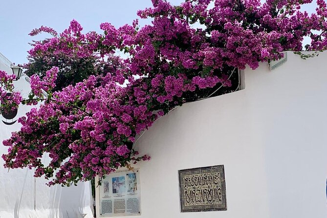 Half a day in Sidi Bousaid from Hammamet - The Best Gulf Views You Can Actually Enjoy