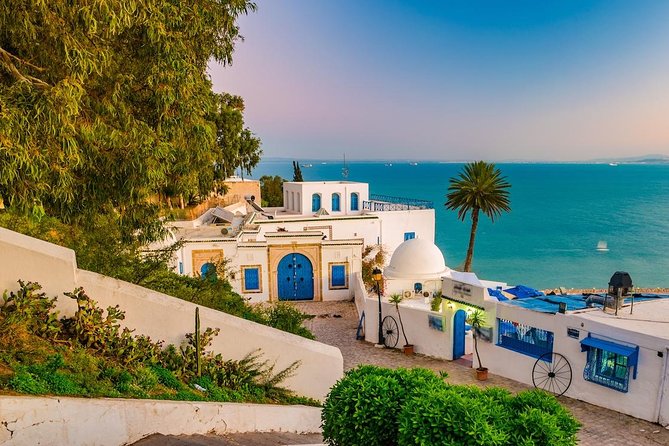 Half-Day Carthage, Sidi Bou Said Private Tour with Licensed Guide - What to expect at Sidi Bou Said’s cliff-top streets