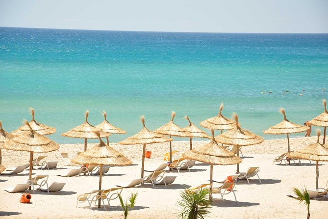 Half day excursion from Sousse to Kantaoui, Hergla and Medina - The half-day structure that makes this tour feel efficient