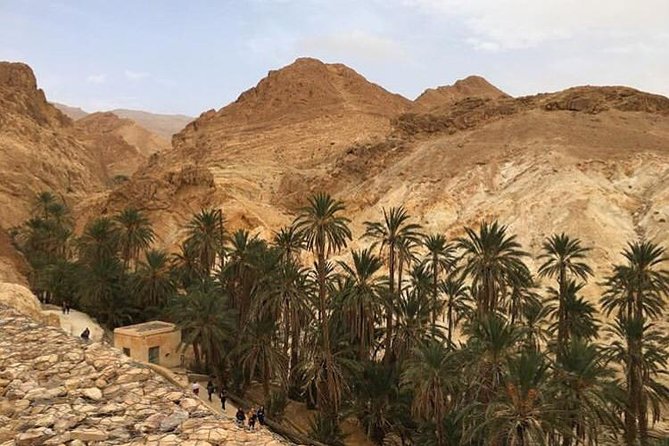 Half-day excursion the mountain oases from Tozeur - Key things I’d book this for