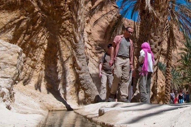 Half-day excursion the mountain oases from Tozeur - Getting from your hotel: pickup, A/C comfort, and realistic timing