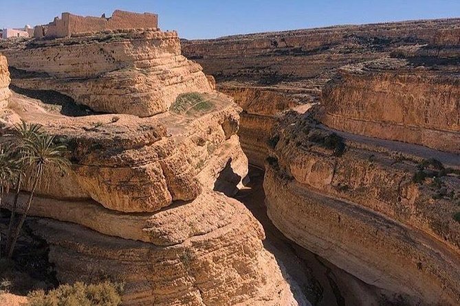 Half-day excursion the mountain oases from Tozeur - Stop 2: Tamerza Canyon, where living and dead nature meet