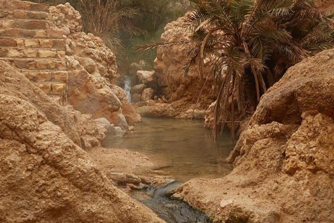 Half-day excursion the mountain oases from Tozeur - Stop 3: Mides Valley, fossils and a near-border setting