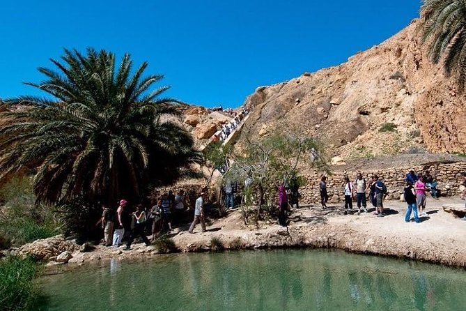 Half-day excursion the mountain oases from Tozeur - Is $65.31 per person good value for this half-day?