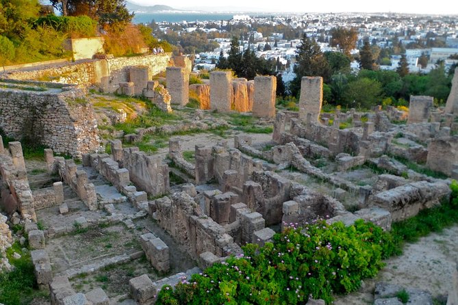 Historical Tour of Ancient Carthage - Carthage in 3.5 Hours With a Local Guide Named Tarek