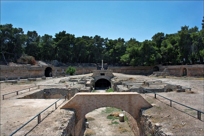 Historical Tour of Ancient Carthage - What the Included Tickets Actually Do for Your Day