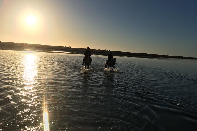 Horseback riding at sunrise 3h - Why a 4:00 am Sunrise Ride Feels Different in Djerba