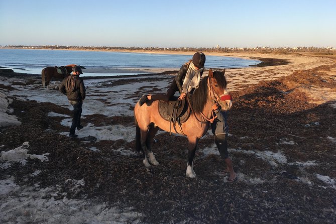 Horseback riding at sunrise 3h - What Happens on the Ride, From Mounting to the Sunrise Moment