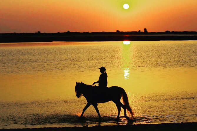 Horseback riding at sunrise 3h - Morgane and the Human Side of an Early Morning Adventure
