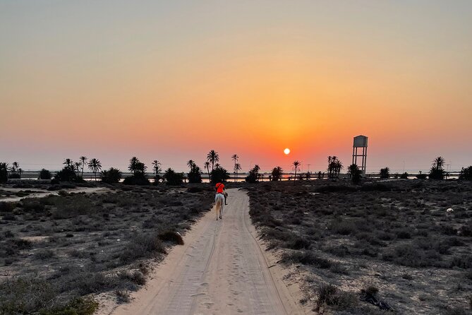 Horseback riding at sunrise 3h - Price and Value: $52.48 for 3 Hours With a Focused Theme
