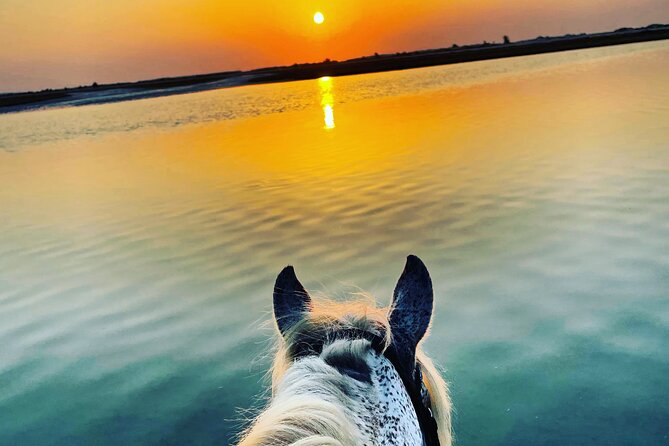 Horseback riding at sunrise 3h - Meet Ranch Adada Djerba and Get Ready for a Small Group Morning