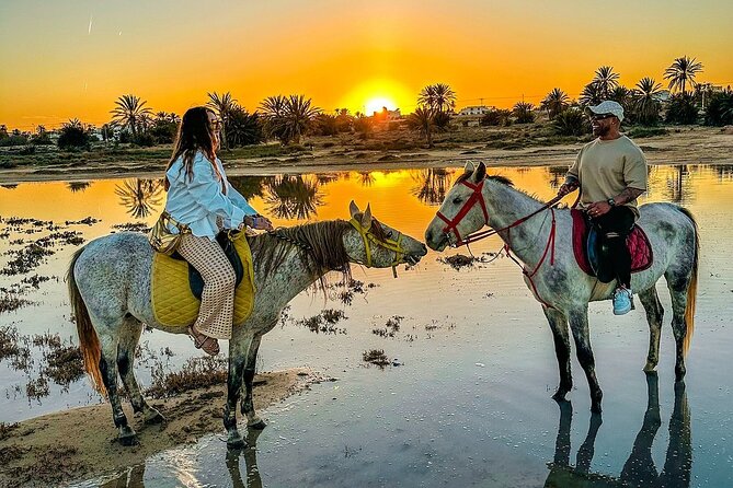 Horseback riding or camel at sunset in Djerba - A 6:30 pm sunset ride on Djerba’s beach, horse or camel