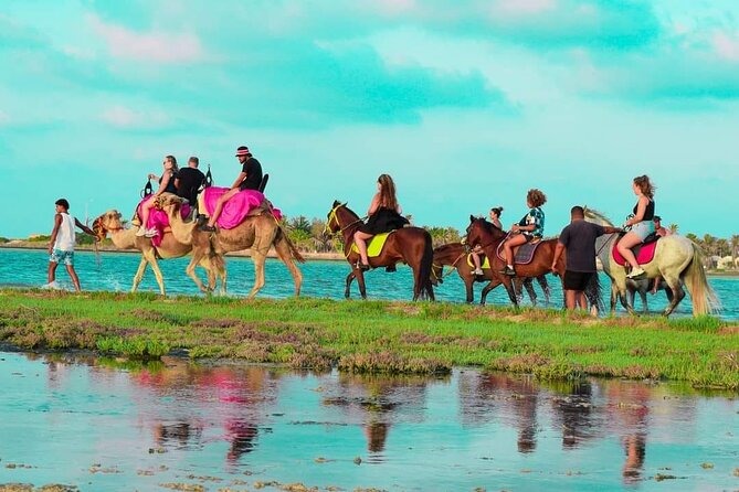 Horseback riding or camel at sunset in Djerba - Price and value: is about $29 per person a fair deal?