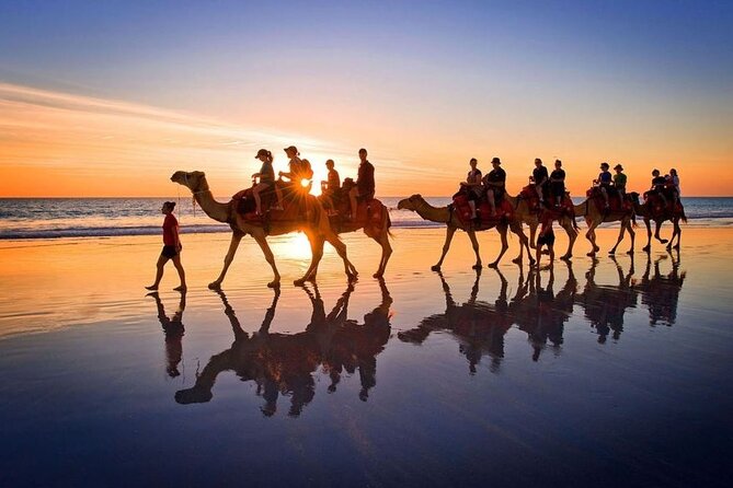 Horseback riding or camel at sunset in Djerba - Who this is best for (and who should skip it)
