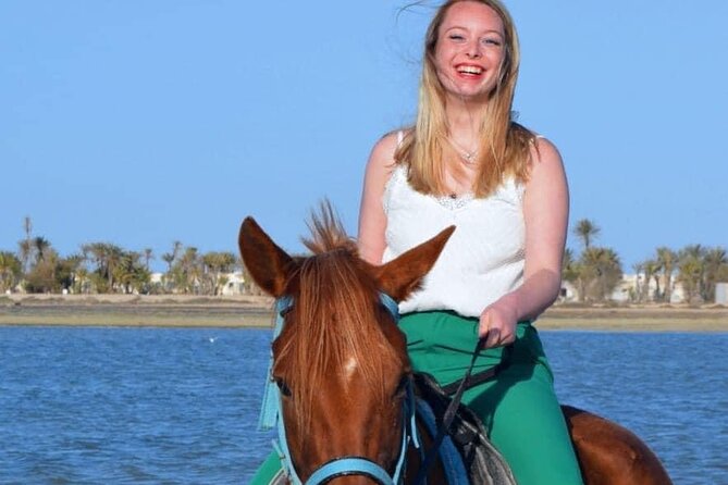 Horseback riding or camel at sunset in Djerba - The 1-hour flow: what happens from start to finish