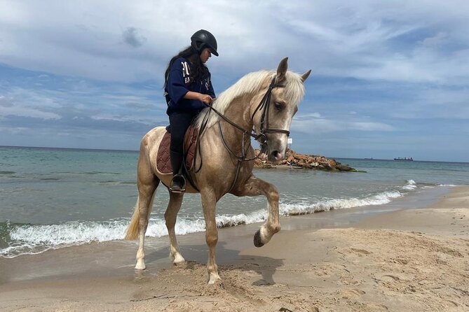 Horseback riding with private transfer - Why This Monastir Horse Ride Works So Well for Real People
