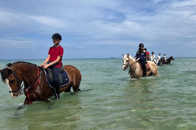 Horseback riding with private transfer - Getting Started: Safety Briefing and That First-Time Comfort Boost